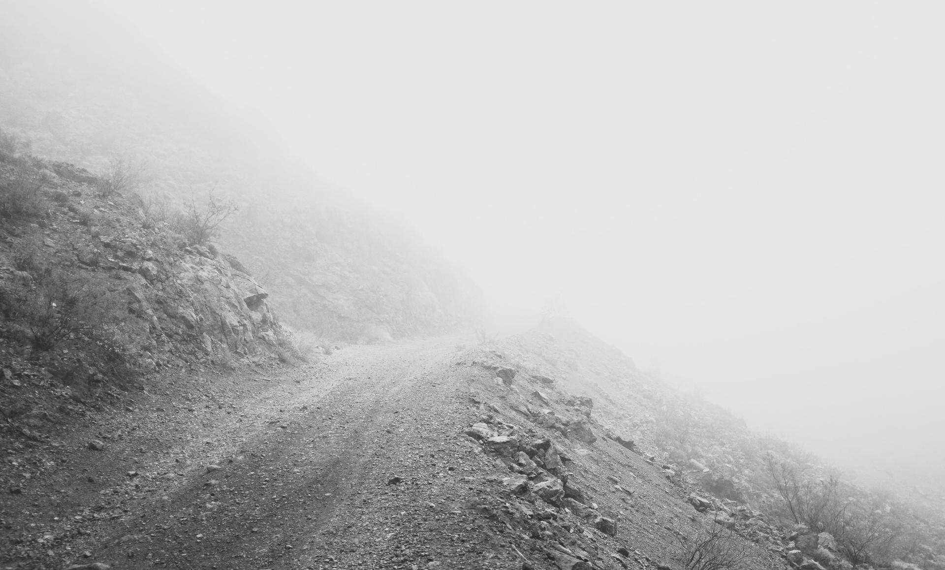A path going into the morning mist